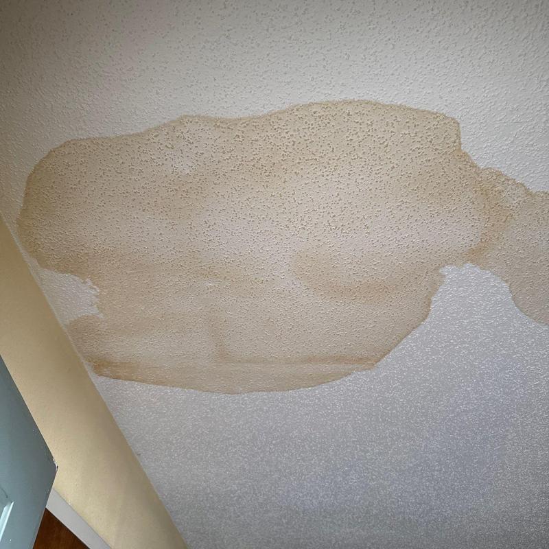 Ceiling water damage stain from roof leak