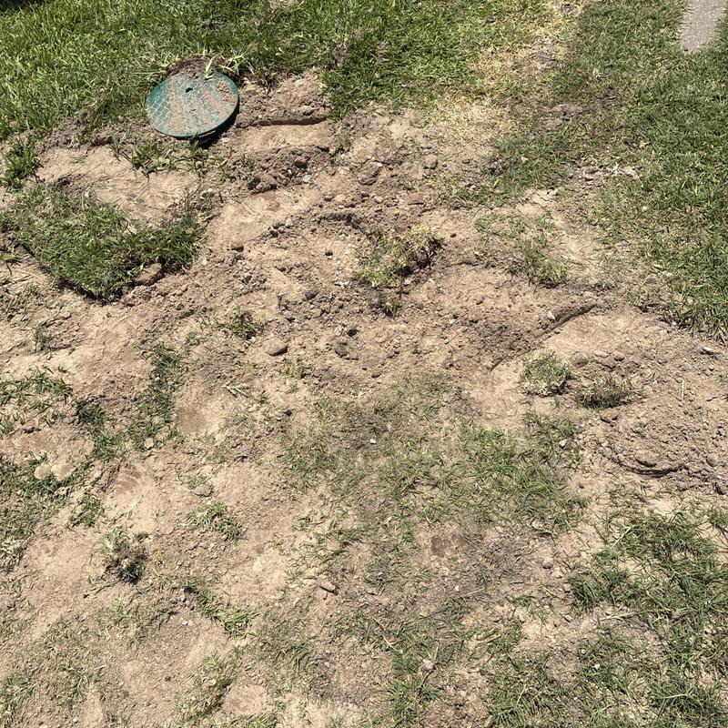 Yard water line excavation with valve box in grass Yard water line excavation with valve box in grass