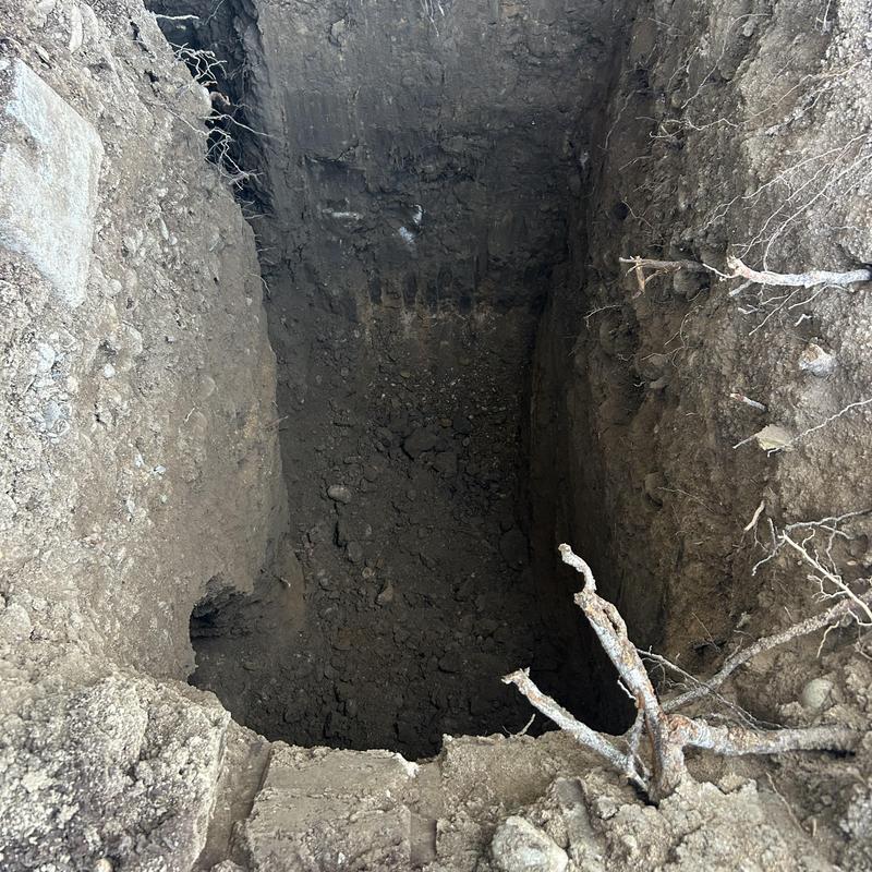 Asbestos concrete sewer line excavation with roots and bellies Asbestos concrete sewer line excavation with roots and bellies