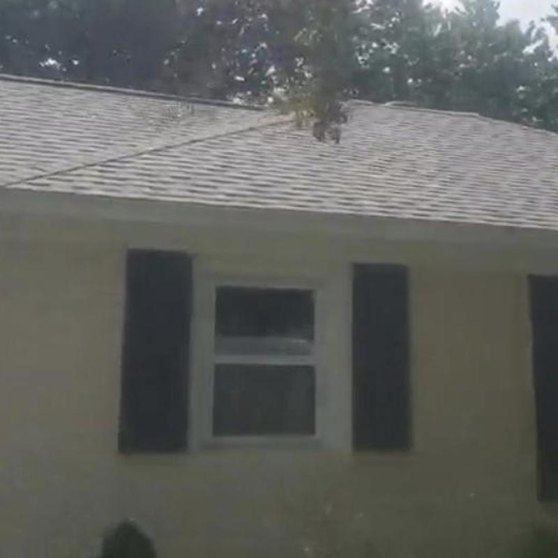 CertainTeed Landmark Pro shingles on residential roof CertainTeed Landmark Pro shingles on residential roof