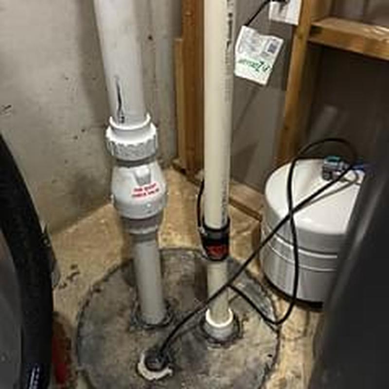 Zoeller ProPack 63 dual pump battery backup system
