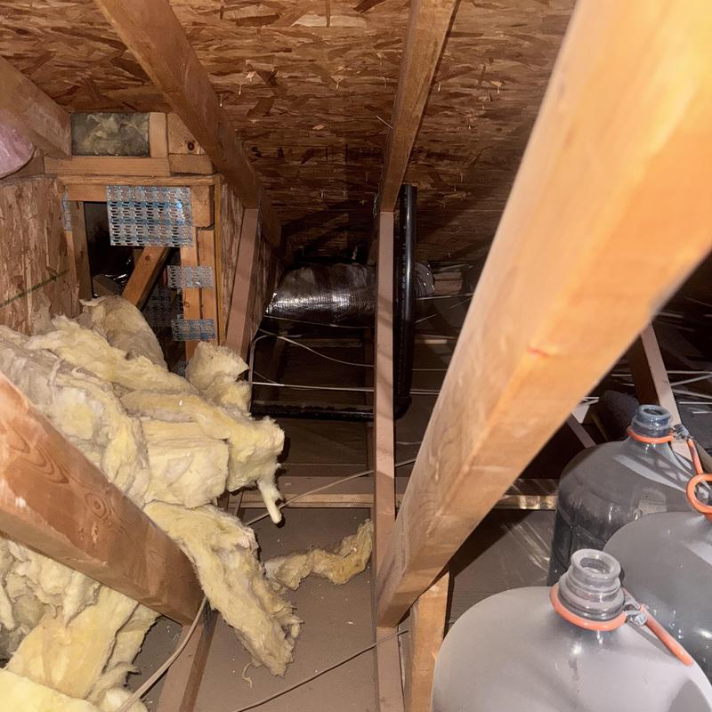 Roof and attic water intrusion with damaged insulation Roof and attic water intrusion with damaged insulation