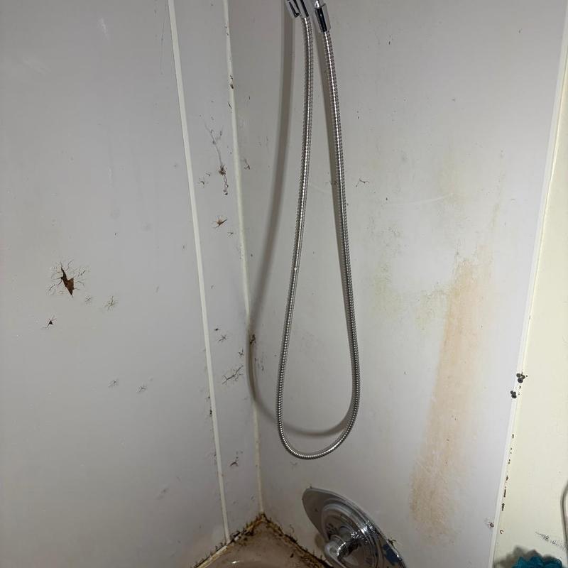 Shower valve and drain with mold and corrosion damage Shower valve and drain with mold and corrosion damage