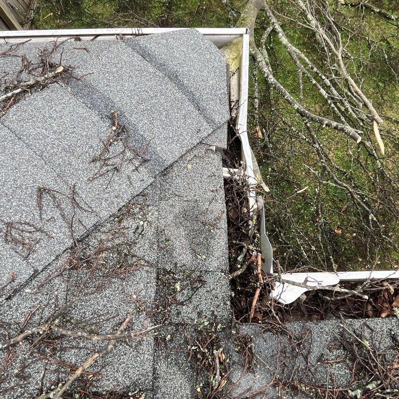 Roof shingles and gutter with debris and branch damage