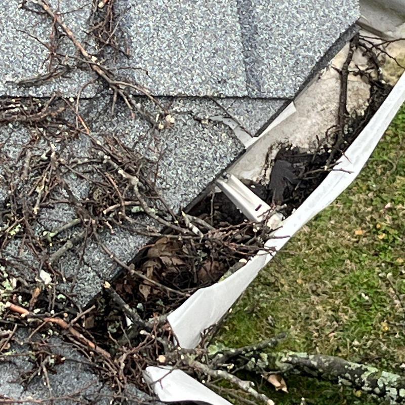 Asphalt shingle roof and gutter with debris buildup
