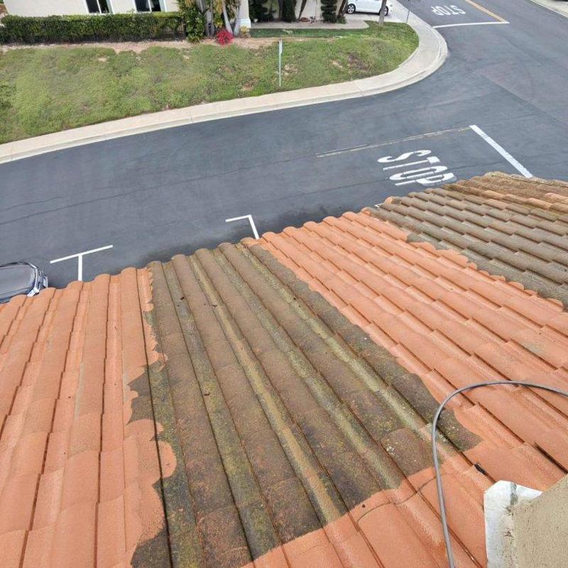 Tile roof cleaning showing before and after tiles Tile roof cleaning showing before and after tiles