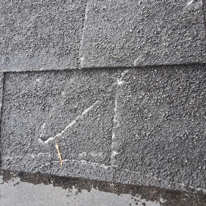 Asphalt shingle roof close-up showing wear and damage