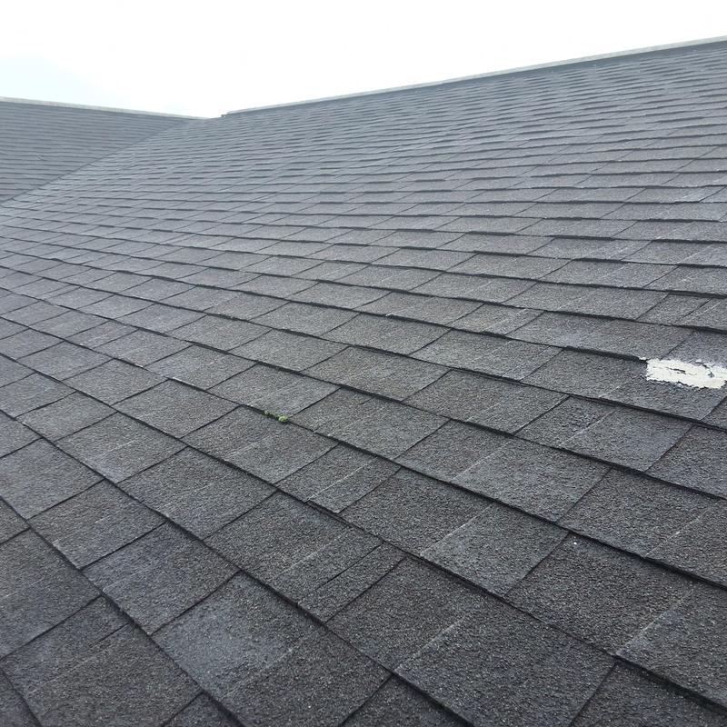 Asphalt shingle roof showing aging and leak spots