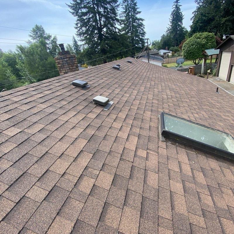 Asphalt shingle roof with vents and skylight, clean