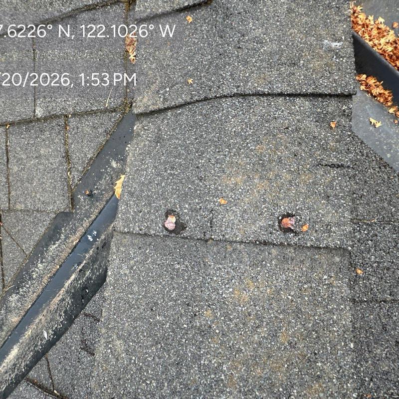Roof shingles with exposed nail heads and wear signs