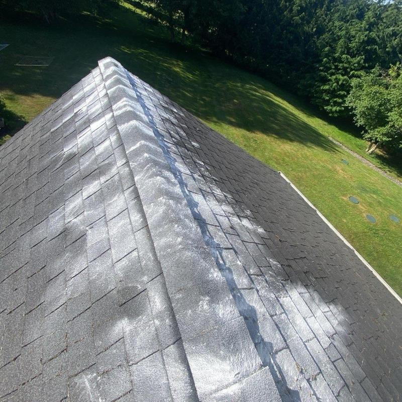Asphalt shingle roof with moss removal treatment