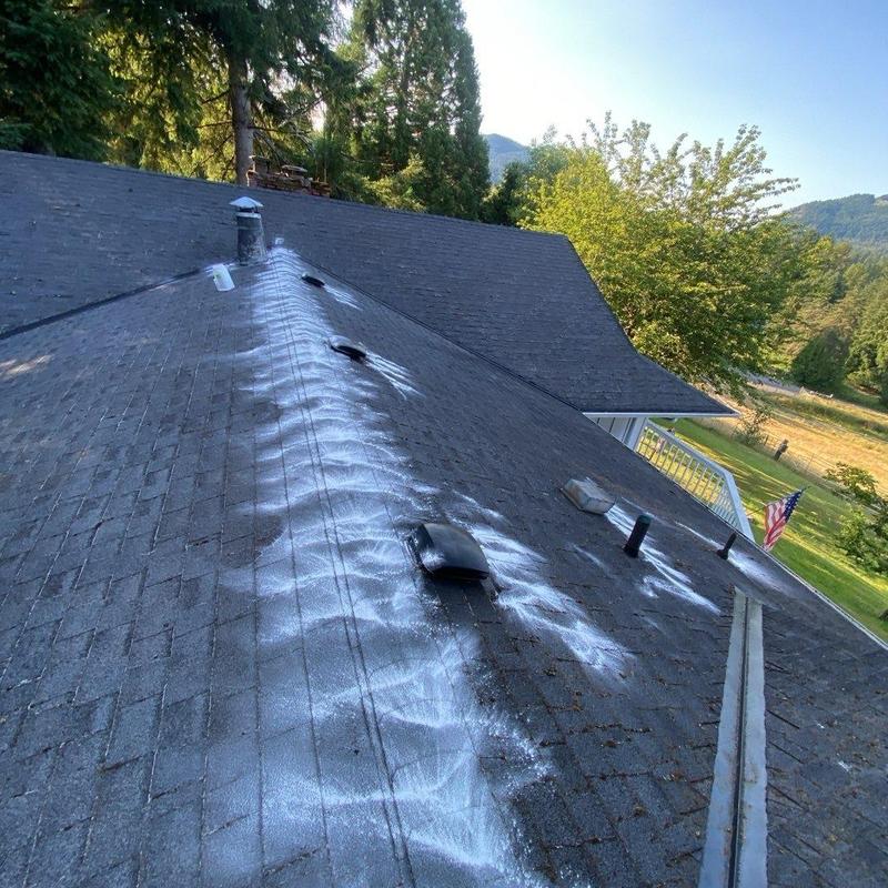 Asphalt shingle roof with moss treatment applied