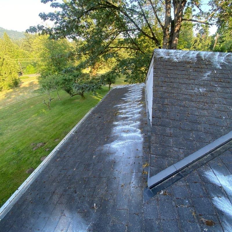 Asphalt shingle roof with moss removal and cleaning