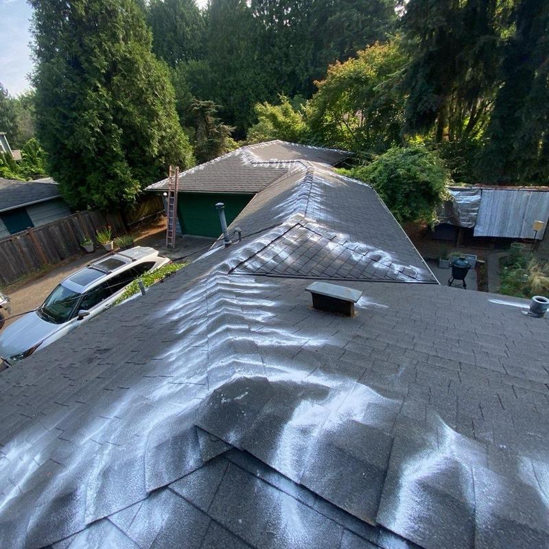 Roof moss treatment and cleaning on residential shingles