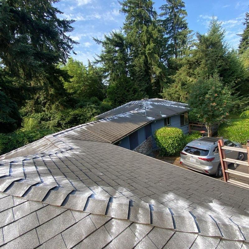 Asphalt shingle roof with moss treatment and cleaning