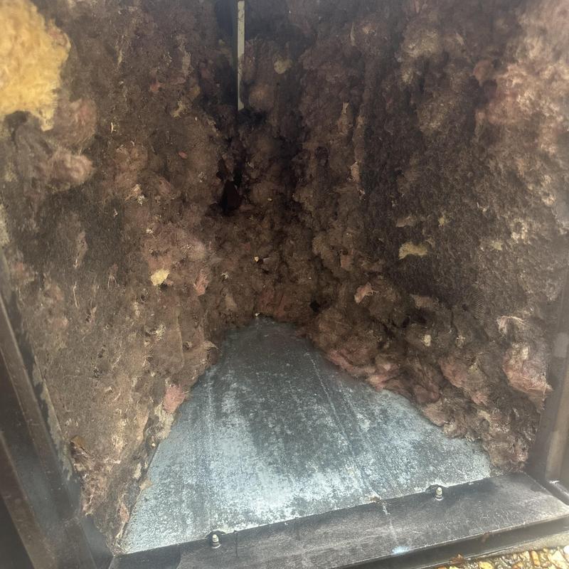 Air handler dirty insulation and debris buildup inside