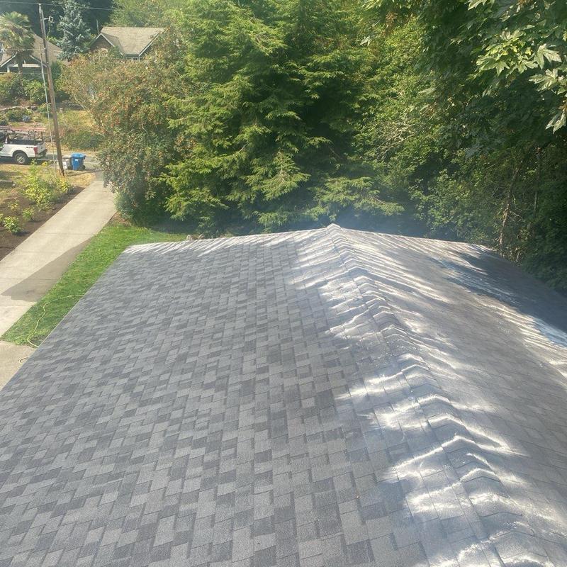 Roof shingles after cleaning and moss treatment