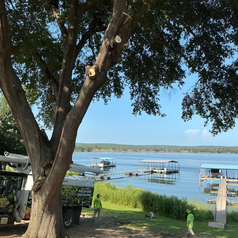Tree trimming with bucket truck at lakeside property
