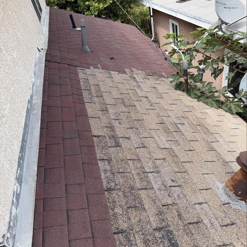 Shingle roof with partial discoloration and wear Shingle roof with partial discoloration and wear
