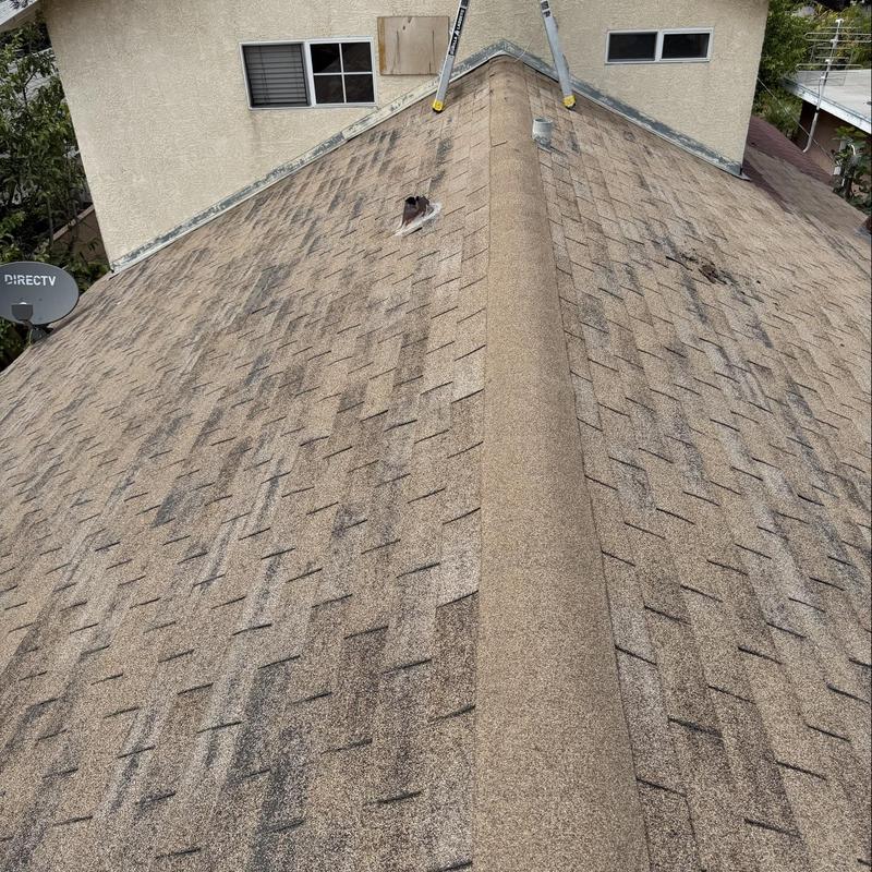 Asphalt shingle roof with visible wear and damage Asphalt shingle roof with visible wear and damage