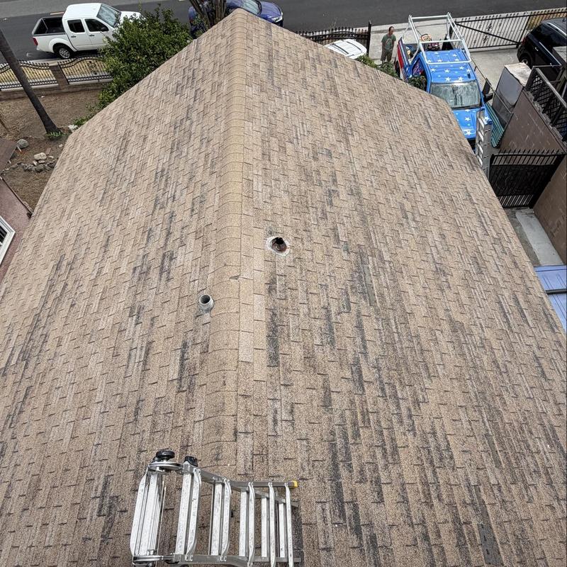 Shingle roof ridge with vent pipes and ladder Shingle roof ridge with vent pipes and ladder