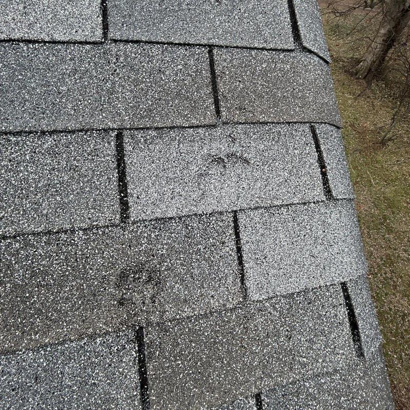 Asphalt roof shingles with hail damage and granule loss