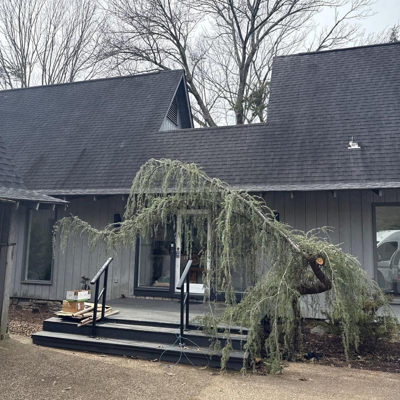 Tree branch fallen on front porch steps