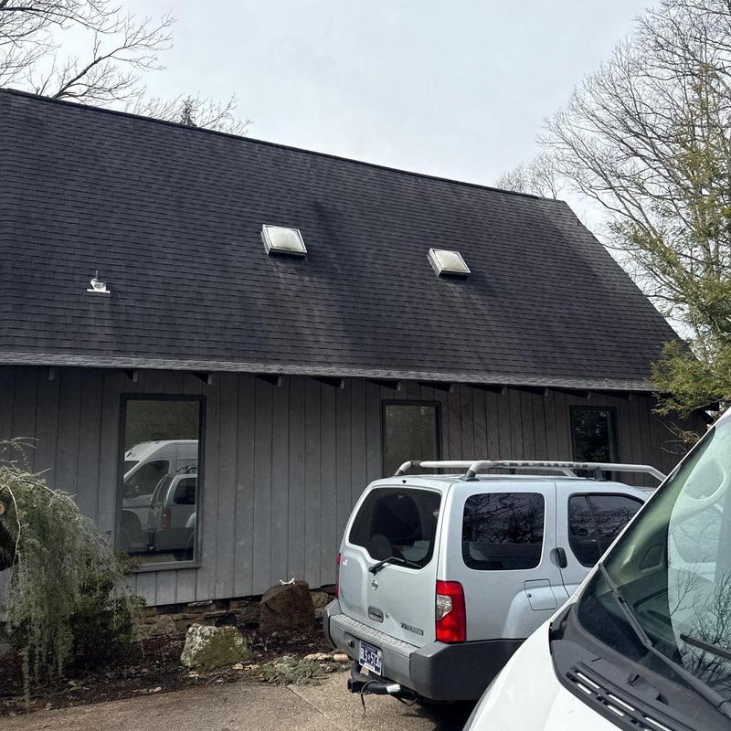 Roof shingles and skylights with weathering marks