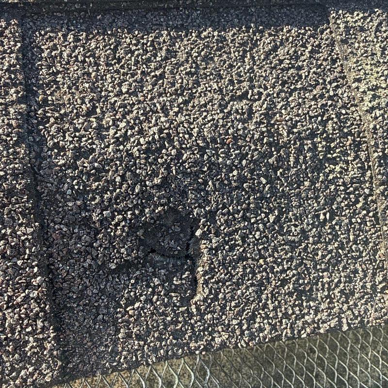 Asphalt shingle with hail damage on roof surface