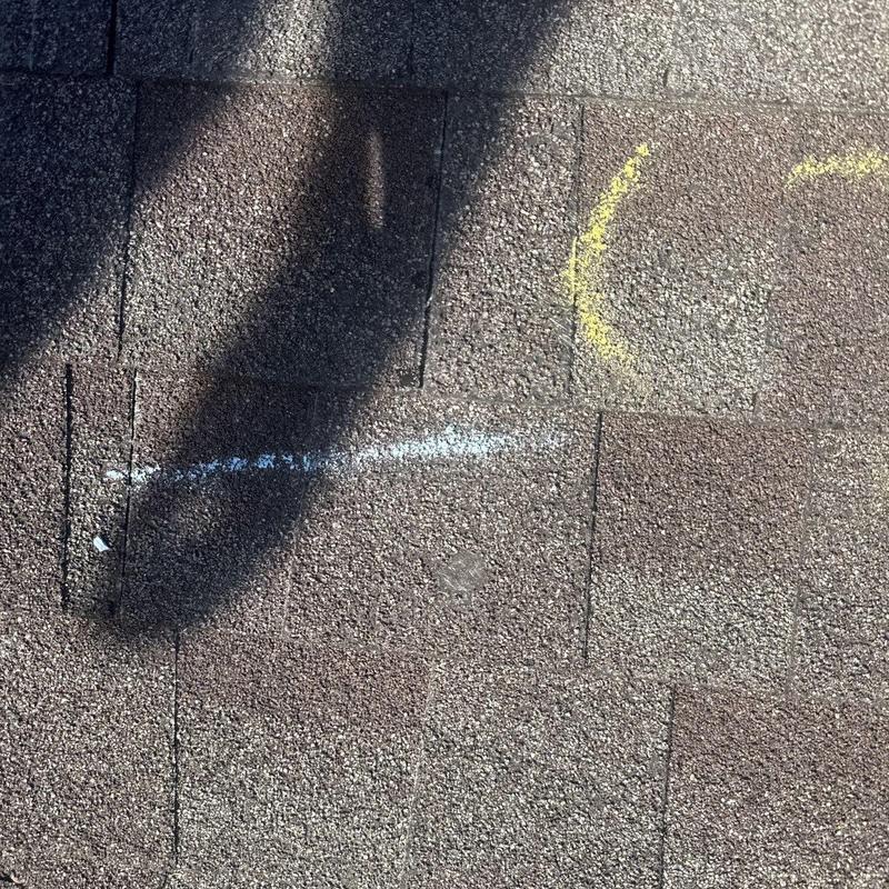 Roof shingles with marked hail damage and discoloration