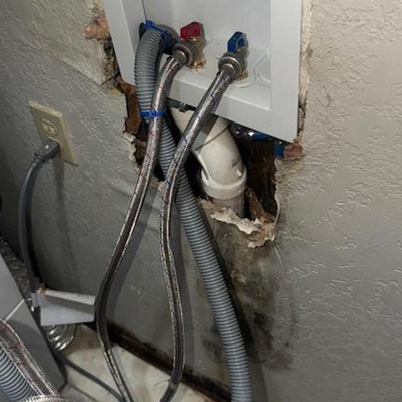 Washer box with shutoff valves and hoses in wall