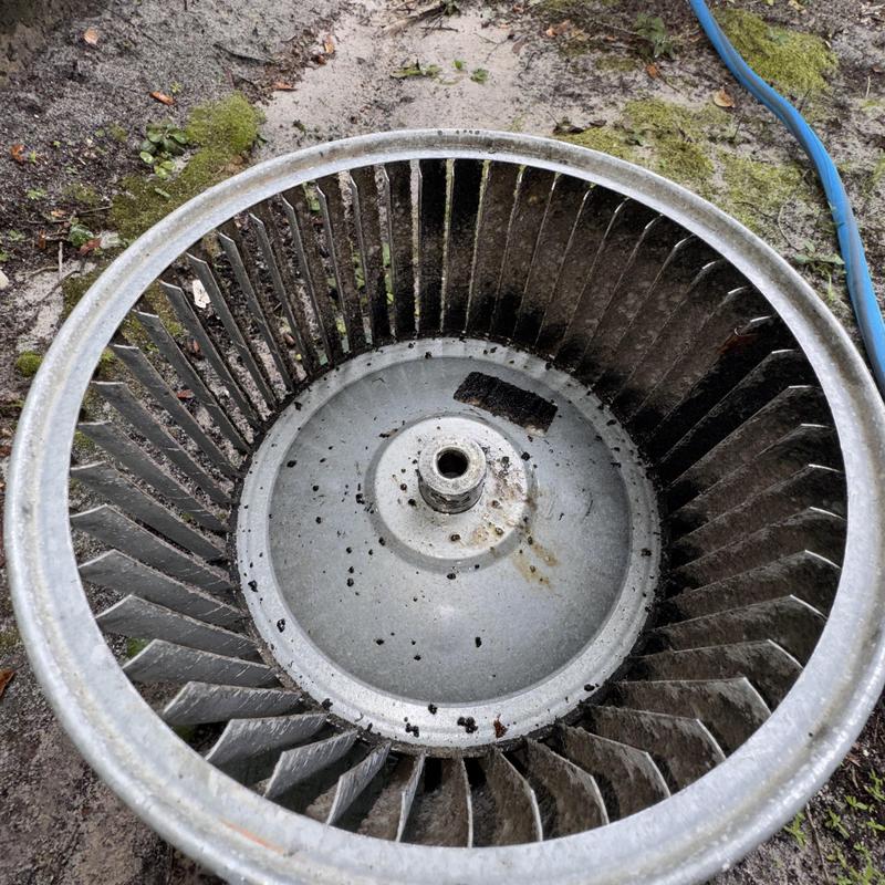 Blower motor wheel inside with dust and debris