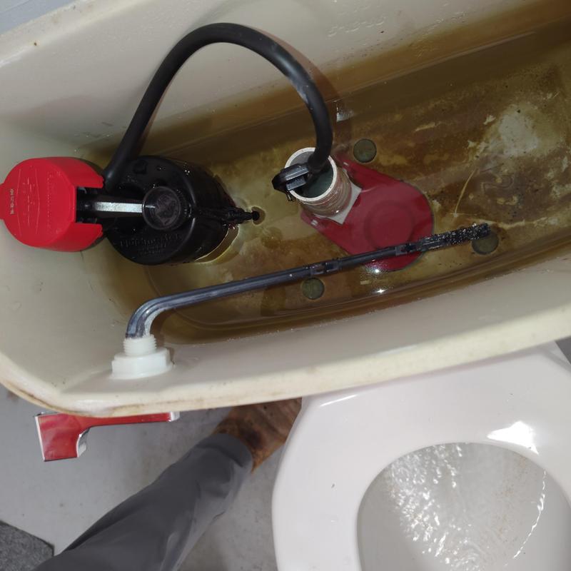 Toilet fill valve and flapper replacement in tank Toilet fill valve and flapper replacement in tank