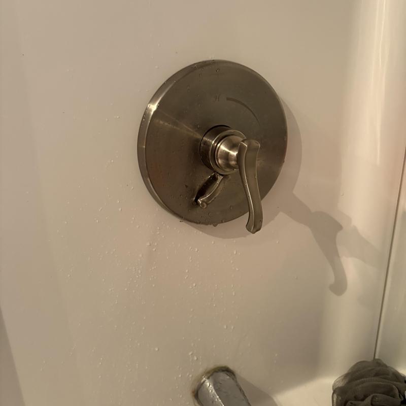 Simmons shower valve with metallic handle and trim plate