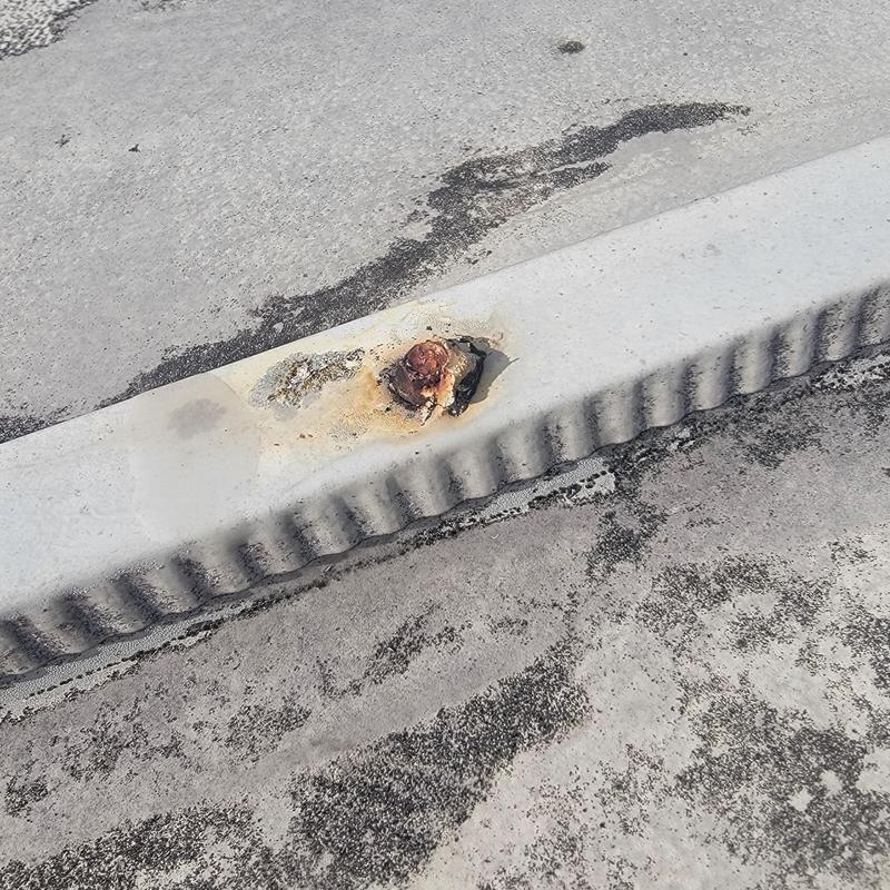 Rusty metal roof screw with deteriorated sealer Rusty metal roof screw with deteriorated sealer