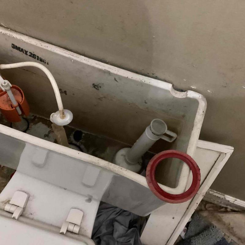 Toilet flush valve and fill valve inside tank in Chattanooga Toilet flush valve and fill valve inside tank in Chattanooga
