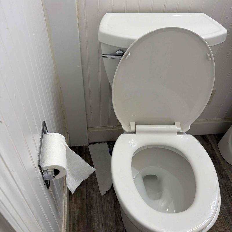 Toilet flange and mainline drain with open lid in bathroom