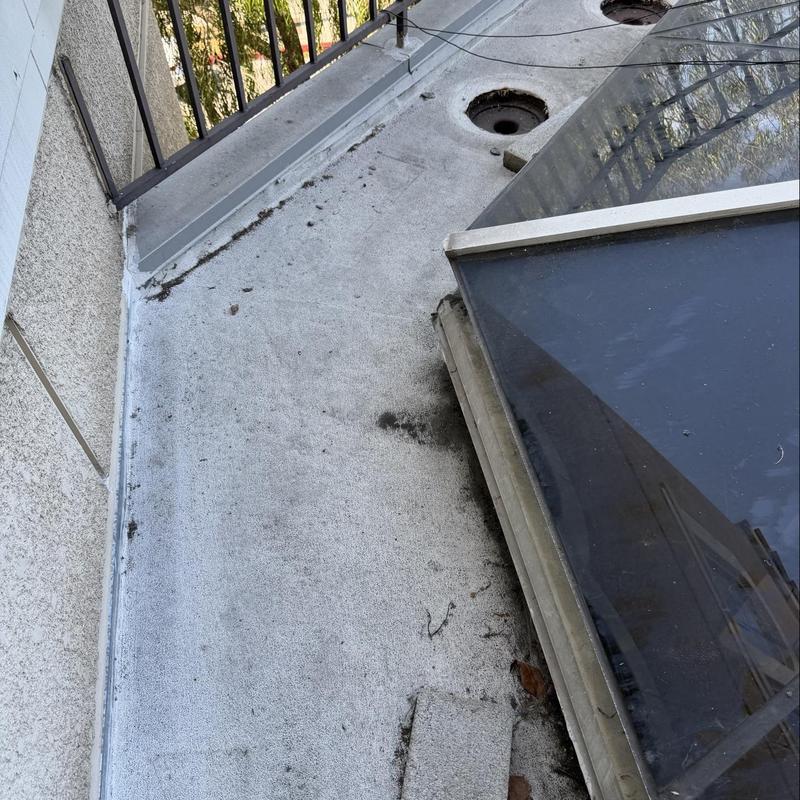 Skylight flashing and surrounding roof area inspection Skylight flashing and surrounding roof area inspection