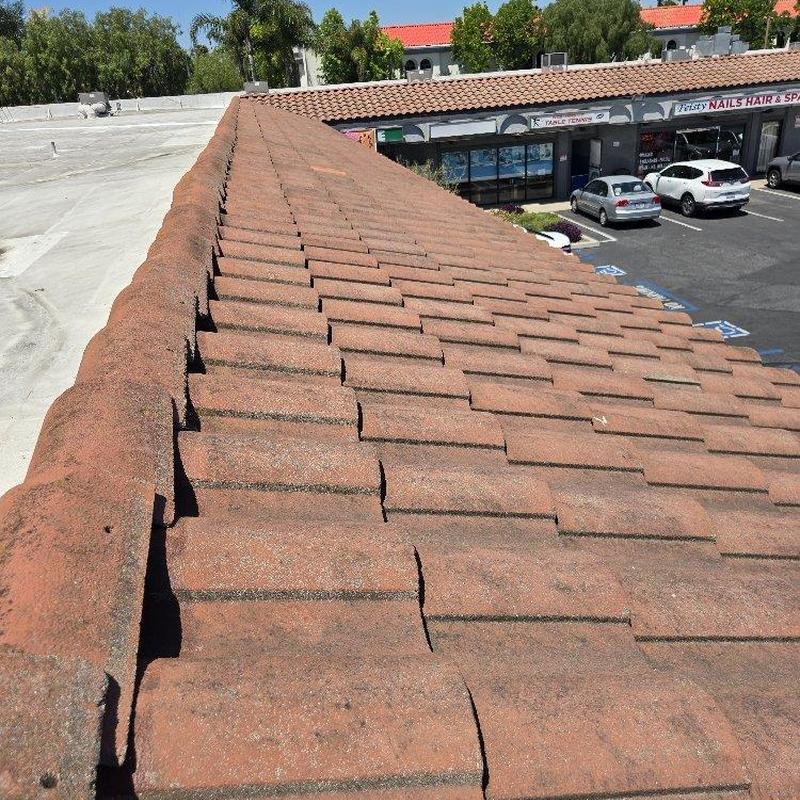 Tile roof ridge and tiles inspection on commercial building Tile roof ridge and tiles inspection on commercial building