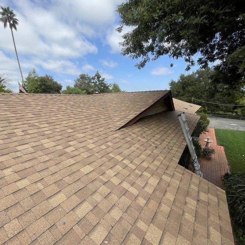 Asphalt shingle roof with ladder beside house Asphalt shingle roof with ladder beside house