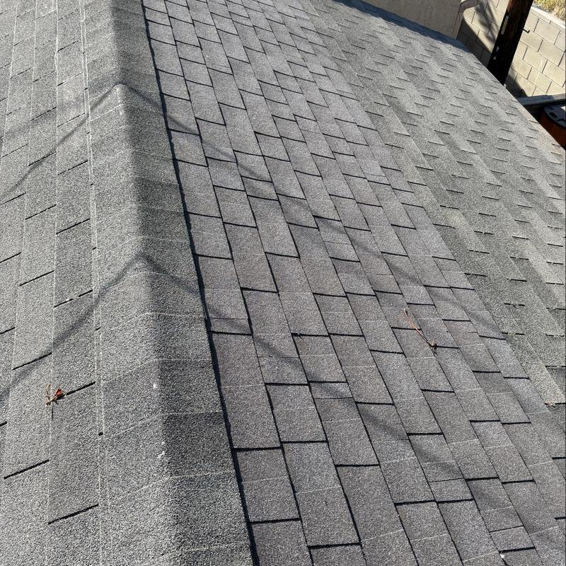 Asphalt shingle roof inspection for damage and wear Asphalt shingle roof inspection for damage and wear