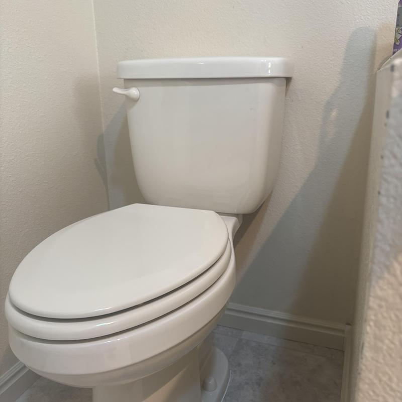 Toilet replacement in master bathroom corner position Toilet replacement in master bathroom corner position