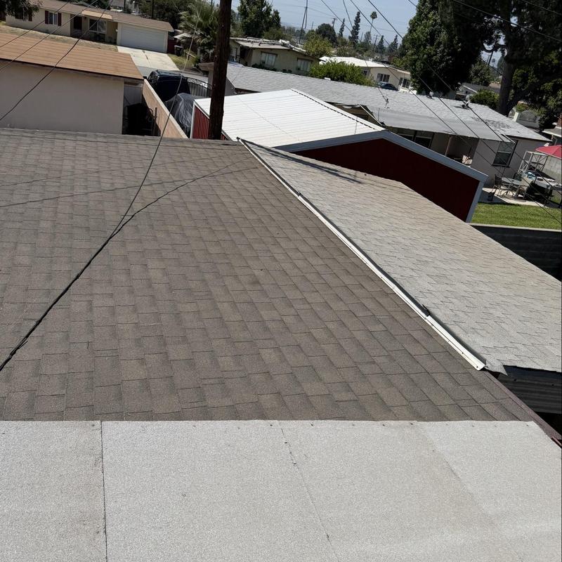 Shingle roof inspection with visible shingles and gutters Shingle roof inspection with visible shingles and gutters