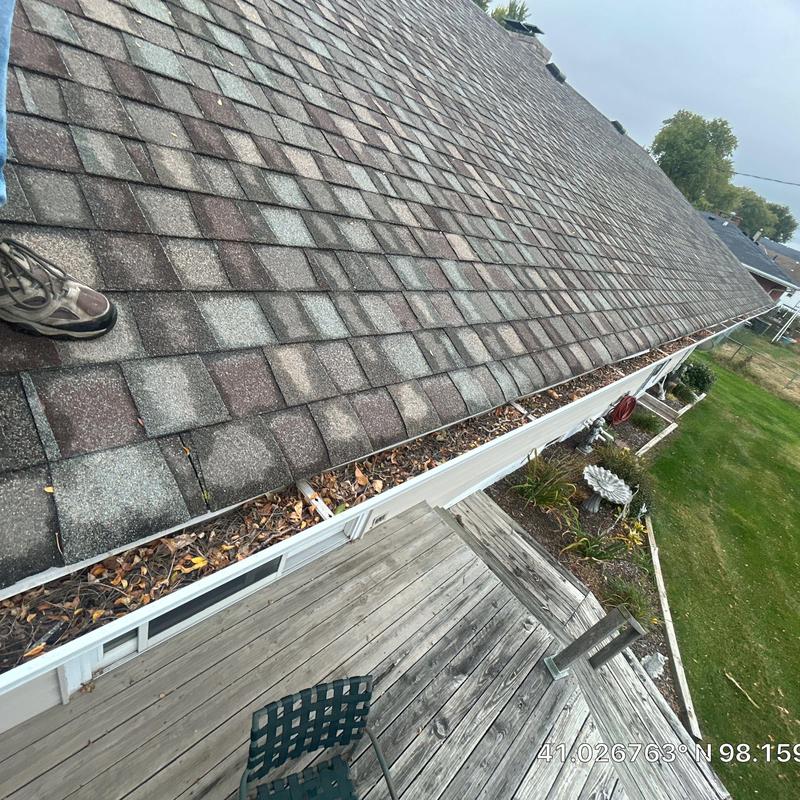 Gutter clogged with leaves on shingle roof edge Gutter clogged with leaves on shingle roof edge