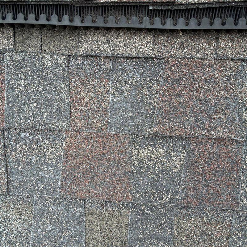 Asphalt roof shingles with hail damage and wear