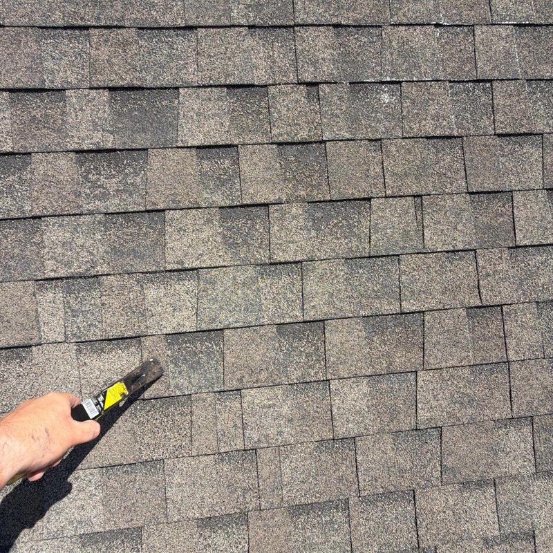 Asphalt roof shingles with hail damage inspection tool