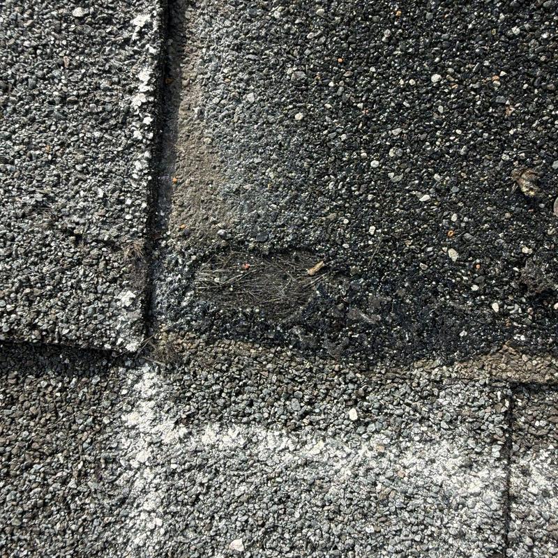 Asphalt roofing shingles with hail damage and granule loss