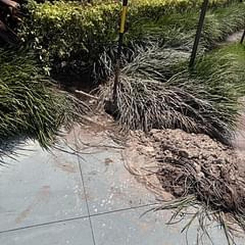 Main water line leak excavation and repair at sidewalk Main water line leak excavation and repair at sidewalk