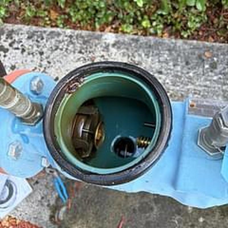Wilkins 375 valve interior during rebuild process Wilkins 375 valve interior during rebuild process
