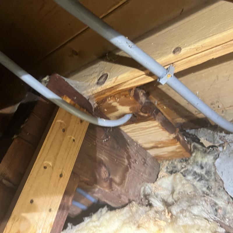 PEX water piping installation in wooden ceiling joist area PEX water piping installation in wooden ceiling joist area